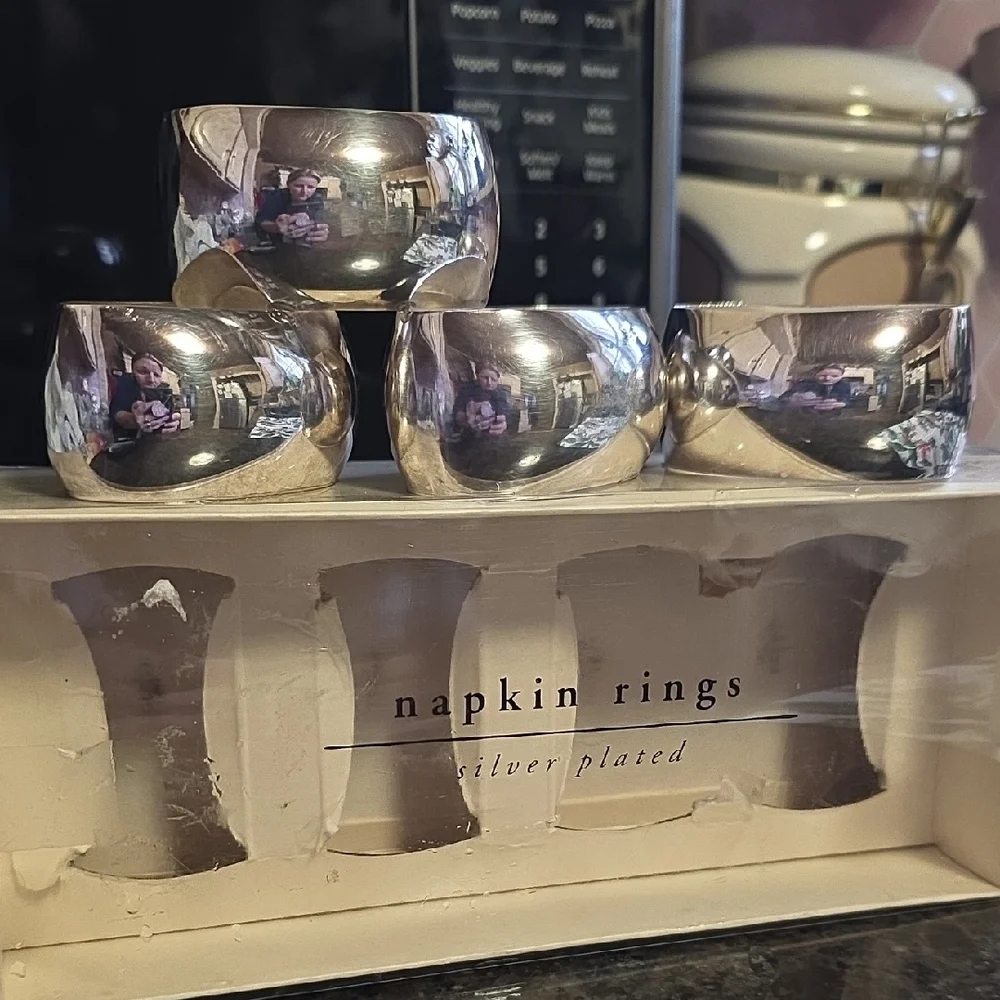 Pier 1 Silver Napkin Rings Set